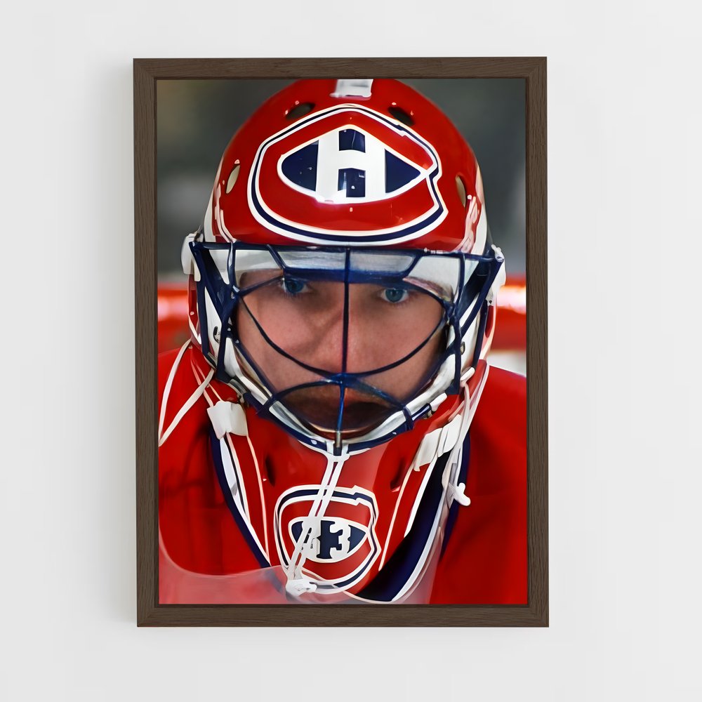Poster Gardien de la Glace – affiche Hockey sur glace (vue 5)